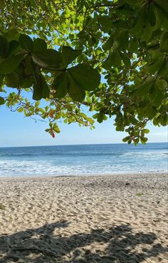 the beach is clean and ready to be used