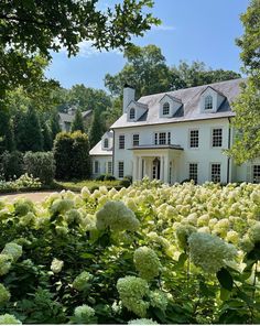 a large white house surrounded by trees and bushes