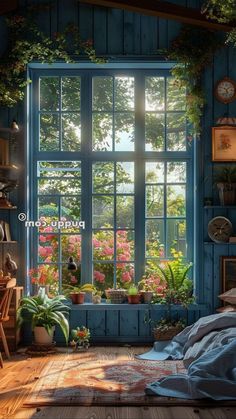 a bedroom with blue walls and windows filled with plants