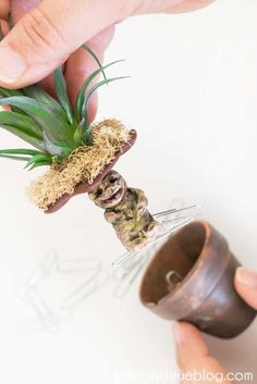 Diy Harry Potter Miniatures, Diy Mandrake, Harry Potter Handmade, Harry Potter Office, Harry Potter Weihnachten, Harry Potter Mandrake, Paper Clip Holder, Harry Potter Day, Harry Potter Christmas Decorations