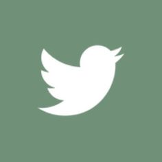 a white twitter logo on a green background