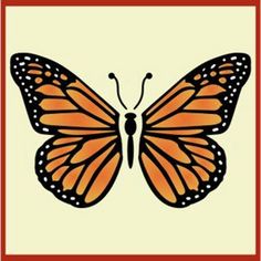 an orange and black butterfly on a white background with a red border around the edges