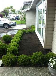 a potted plant in front of a house