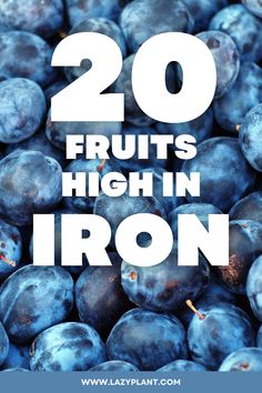 High Iron Diet, Low Iron Foods, Fruits High In Iron, Low Iron Diet, Iron Deficiency Remedies, Iron Rich Fruits, Increase Iron