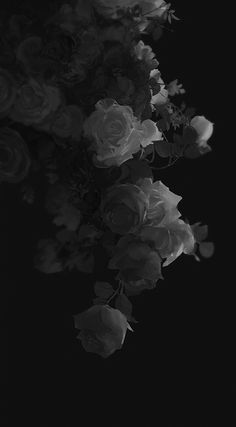 black and white photograph of flowers in the dark