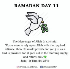 the message for raman day 11, with an image of a dove and olives