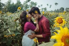 a man and woman kissing in a field of sunflowers