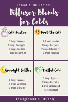 6 Diffuser Blends for Colds with Free Cheat Sheet by Loving Essential Oils | Fight the common cold with these wonderful blends! #essentialoils #diffuserblends #lovingessentialoils Diffuser Blends For Colds, Oils For Diffuser, Essential Oils For Colds