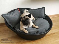 a small pug dog laying in a bed on the floor