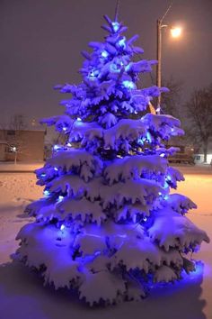 a snow covered christmas tree with blue lights in the middle of it's branches