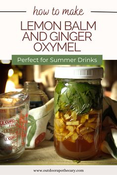 how to make lemon balm and ginger oxyml perfect for summer drinks - www outofroopher com