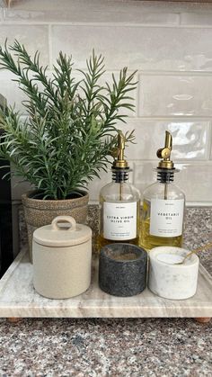 two soap dispensers sitting on top of a counter next to a potted plant