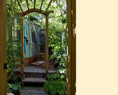 an open door leading to a small green house in the middle of trees and plants