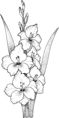 the flowers are blooming in black and white, vintage line drawing or engraving illustration