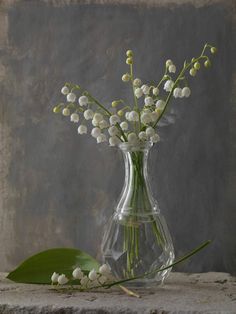 a vase filled with white flowers sitting on top of a stone counter next to a green leaf