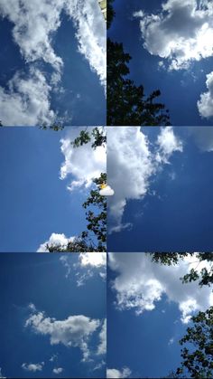 multiple shots of clouds and trees in the sky