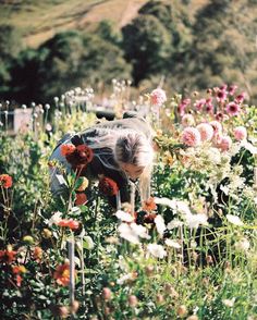 a woman is picking flowers in a field