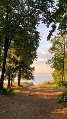 an empty dirt road surrounded by trees and the ocean in the backgroung