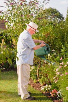 an older man watering flowers in his garden