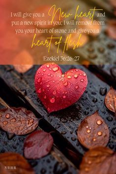 a red heart sitting on top of a wooden table next to leaves and raindrops