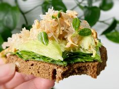 a sandwich with lettuce, cheese and other toppings is held in someone's hand