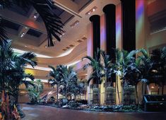 an indoor lobby with palm trees and lights