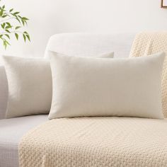 two pillows sitting on top of a couch next to a plant