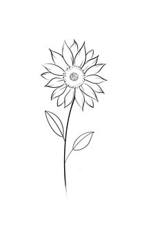 Sunflower Tattoo Outline Drawing, Sunflower Dainty Tattoo, Sunflower Tattoo Stencil Simple, Rose And Sunflower Drawing, Sunflower Line Tattoo Simple, Sunflower Line Drawing Simple, Small Sunflower Drawing Simple, Sunflower Tattoo Line Art, Sunflower Tattoo Linework