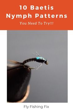 an image of a nymph fly with the caption, 10 baetis nymph patterns you need to try