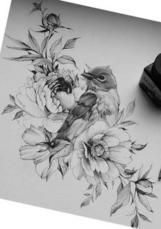 a pencil drawing of a bird sitting on top of flowers next to a marker pen