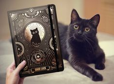 a black cat laying on top of a bed next to a playing book with an image of a cat