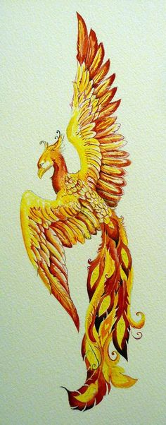 a drawing of a bird with orange and yellow feathers on it's back legs