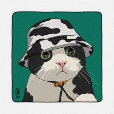 a black and white cat wearing a hat