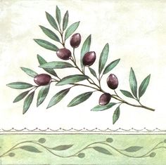 an olive branch with green leaves on a white background is featured in this painting by person