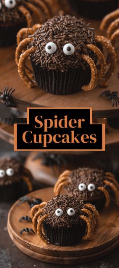 spider cupcakes with chocolate frosting and sprinkles on the top