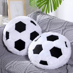 two black and white soccer balls sitting on top of a blanket next to a potted plant