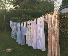 clothes hanging out to dry in the sun on a line with bushes and trees behind them