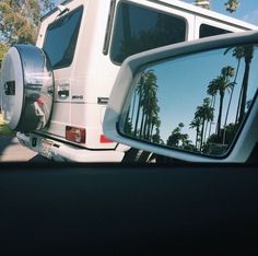 reflection of palm trees in the rear view mirror of a white truck parked next to a tree lined street