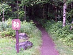 a trail sign in the middle of a wooded area