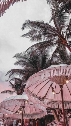 several pink umbrellas sitting under palm trees on a cloudy day in the evening time