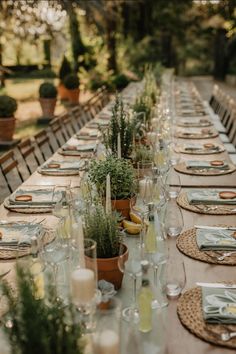 a long table is set with place settings