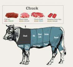 the diagram shows how to cut up a cow's body and neck for meat