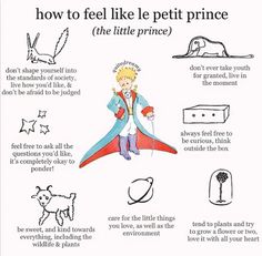 how to feel like pet prince the little prince by person, illustrated on white paper