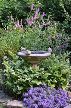 a bird bath surrounded by purple flowers and greenery