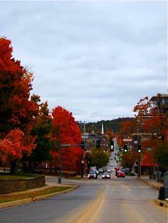 an empty street with cars parked on both sides and autumn trees lining the road in the background