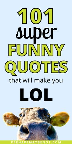 a cow with the words 1011 super funny quotes that will make you lol