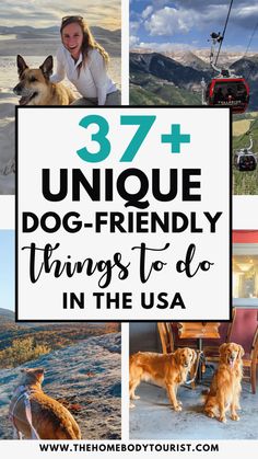 the words 37 unique dog - friendly things to do in the usa with pictures of dogs