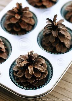 a muffin tin filled with pine cones on top of a wooden table