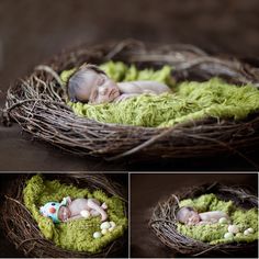 a newborn baby is sleeping in a nest