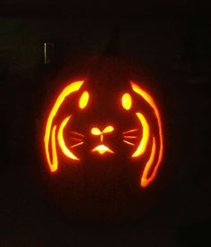 a carved pumpkin with a cat's face on it, lit up in the dark